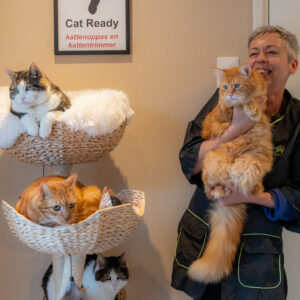 Kattenoppas kattentrimmer Jaqueline Steneker Katten Huiskat Kat aan huis Abbatutu