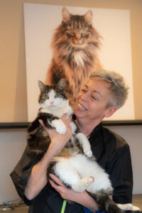 Huiskat op krabpaal tijdens verzorgingsmoment door Cat Ready kattenoppas.